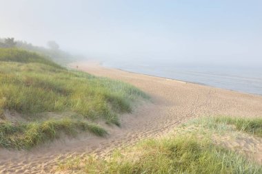 Güneşin doğuşunda sisli bir havada Baltık Denizi manzarası. Kumsal, kum tepeleri. Yumuşak güneş ışığı. Idyllic yaz deniz manzarası. Doğa, çevre, tatiller, eko-turizm, yürüyüş ve keşif kavramları