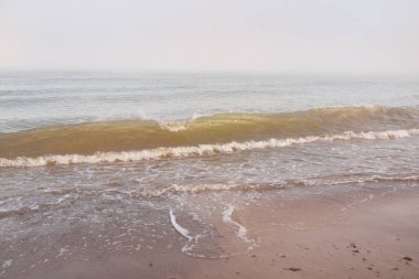 Güneş doğarken sisli bir havada Baltık Denizi kıyısından panoramik manzara. Dalgalar, sıçramalar, su yüzeyi. Yumuşak güneş ışığı, açık mavi gökyüzü. Idyllic yaz deniz manzarası. Saf doğa, çevre, ekoloji, eko-turizm
