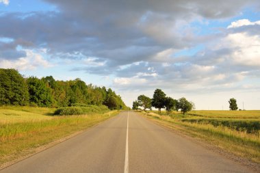 Gün batımında tarım arazisi ve ormanın içinden geçen şehir otoyolu. Fırtınadan sonra dramatik bir gökyüzü. Sonbaharın başında. Yumuşak akşam güneşi. Tatiller, yol gezisi, sürüş, yolculuk