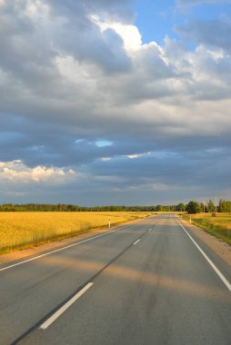 Gün batımında tarım arazisi ve ormanın içinden geçen şehir otoyolu. Fırtınadan sonra dramatik bir gökyüzü. Sonbaharın başında. Yumuşak akşam güneşi. Tatiller, yol gezisi, sürüş, yolculuk