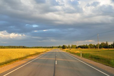Gün batımında tarım arazisi ve ormanın içinden geçen şehir otoyolu. Fırtınadan sonra dramatik bir gökyüzü. Sonbaharın başında. Yumuşak akşam güneşi. Tatiller, yol gezisi, sürüş, yolculuk