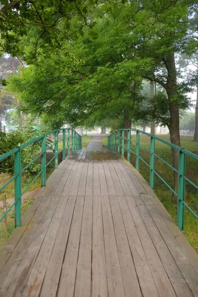 Vista Panorâmica Jardim Botânico Verde Arboreto Dia Ensolarado Verão Após — Fotografia de Stock
