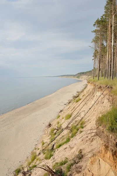 Luftaufnahme Von Der Ostseeküste Nach Dem Sturm Sanddünen Immergrüner Kiefernwald — Stockfoto