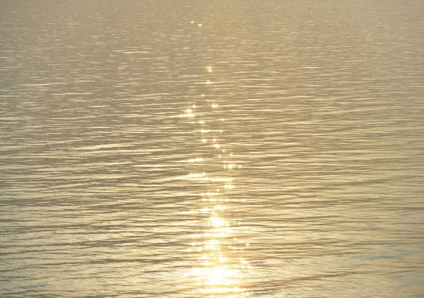 Берег Балтийского Моря Песчаные Дюны Закате Ясное Голубое Небо Золотой — стоковое фото