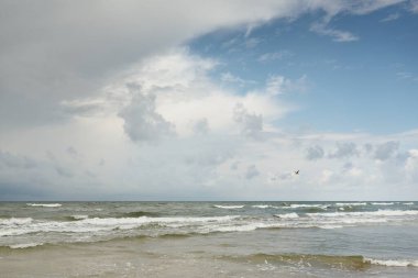 Fırtınadan sonra Baltık kıyıları (kum tepeleri, plaj). Dramatik gökyüzü, parlayan bulutlar. Resimli panoramik manzara. Doğa, çevre, ekoloji, eko-turizm, yürüyüş, keşif kavramları
