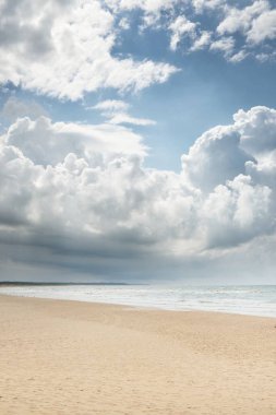 Fırtınadan sonra Baltık kıyıları (kum tepeleri, plaj). Dramatik gökyüzü, parlayan bulutlar. Resimli panoramik manzara. Doğa, çevre, ekoloji, eko-turizm, yürüyüş, keşif kavramları