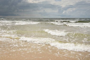 Fırtınadan sonra Baltık kıyıları (kum tepeleri, plaj). Dramatik gökyüzü, parlayan bulutlar. Resimli panoramik manzara. Doğa, çevre, ekoloji, eko-turizm, yürüyüş, keşif kavramları