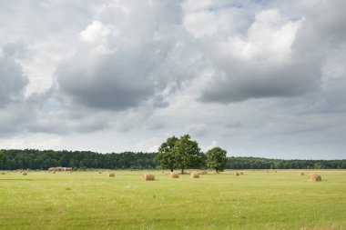 Yeşil tarlaların ve ormanların üzerindeki destansı günbatımı gökyüzü, samanlıklar yakın plan. Yağmur ve fırtınadan sonra dramatik parlayan bulutlar. Idyllic yaz kırsal kesim
