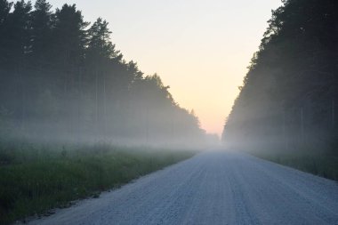 Gün doğumunda sisli bir havada tarlalardan ve ormandan geçen köy yolu. Yumuşak güneş ışığı. Kırsal alan. Altyapı, uzak yerler, köy, yol gezisi, turizm, rota, lojistik, özgürlük kavramları
