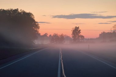 Boş bir otoyol (yeni asfalt yol) gün batımında sisli bir havada tarlalar ve ormanlar arasında. Yumuşak güneş ışığı. Kırsal alan. Uzak yerler, köy, yol gezisi, turizm, rota, lojistik, özgürlük kavramları