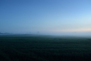 Gün batımında sisli bir arazide (orman çimenliği, çayır). Ayın doğuşu, alacakaranlık, karamsar gökyüzü. Idyllic yaz kırsal manzarası. Doğa, çevre, ekoloji, sessizlik, yalnızlık kavramları