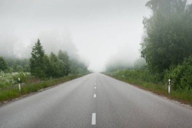 Gün doğumunda yoğun bir sis altında tarlalar ve ormanın içinden (asfalt yol) boş bir otoyol. Atmosferik manzara. Idyllic yaz kırsal manzarası. Dengesiz hava, tehlikeli sürüş, yol gezisi