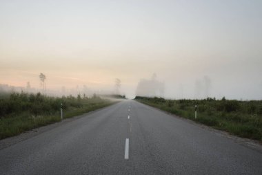 Gün doğumunda yoğun bir sis altında tarlalar ve ormanın içinden (asfalt yol) boş bir otoyol. Atmosferik manzara. Idyllic yaz kırsal manzarası. Dengesiz hava, tehlikeli sürüş, yol gezisi