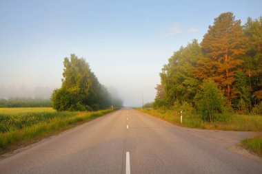 Gün doğumunda sisli bir havada tarlalar ve orman boyunca (asfalt yol) boş bir otoyol. Atmosferik manzara. Idyllic yaz kırsal manzarası. Döneklik havası, tehlikeli sürüş, yol gezisi, tatiller