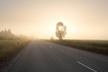 Gün doğumunda sisli bir havada tarlalar ve orman boyunca (asfalt yol) boş bir otoyol. Atmosferik manzara. Idyllic yaz kırsal manzarası. Döneklik havası, tehlikeli sürüş, yol gezisi, tatiller