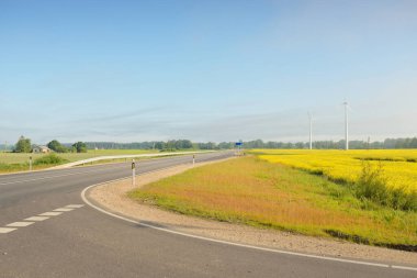 Gün doğumunda çiçek açan kolza tohumu tarlasında ve ormanda otoyol. Rüzgar türbini jeneratörleri (çiftlik). Ulaşım, eko-turizm, ekoloji, yenilenebilir enerji, teknoloji, altyapı, doğada güç