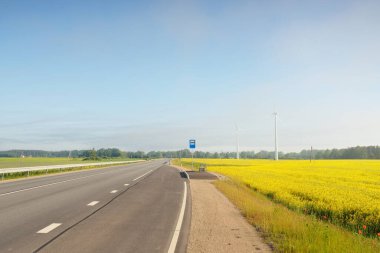 Otobüs durağı ve karayolu (yeni asfalt yolu) yeşil orman çayırı boyunca ve güneş doğarken açan sarı kolza tohumu tarlasında. Sis, yumuşak güneş ışığı. Ulaşım, uzak yerler, tatiller