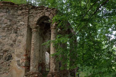 Görkemli yaprak döken ormanın ortasındaki eski bir mezarın kalıntıları. Manzara kavramı. Mimarlık, tarih, geçmiş, arkeoloji, dönüm noktası, kültür, din, gelenek kavramı