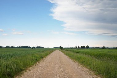 Gün batımında orman ve tarla boyunca boş bir kırsal yol. Yağmurdan sonra parlayan gökyüzü. Turizm, yol gezisi, özgürlük, tatiller, lojistik, uzak yerler kavramları