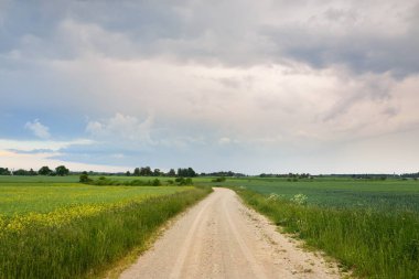 Gün batımında orman ve tarla boyunca boş bir kırsal yol. Yağmurdan sonra parlayan gökyüzü. Turizm, yol gezisi, özgürlük, tatiller, lojistik, uzak yerler kavramları