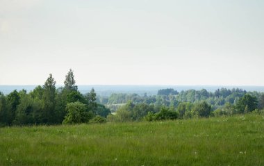 Tarlaya sürülmüş tarla ve ormanın yeşil tepeleri. Idyllic yaz kırsal manzarası. Yağmurdan sonra dramatik bir gökyüzü. Saf doğa, çevre, çiftlik, kırsal yaşam, eko-turizm. Panoramik görünüm