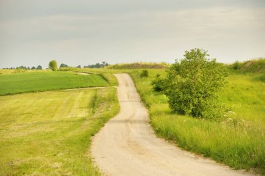 Gün batımında orman ve tarla boyunca boş bir kırsal yol. Yağmurdan sonra parlayan gökyüzü. Turizm, yol gezisi, özgürlük, tatiller, lojistik, uzak yerler kavramları