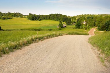 Köyün içinden geçen yol ve yeşil orman çimleri. Idyllic kırsal kesim. Açık mavi gökyüzü. Doğa, yerel turizm, uzak yerler, eko-turizm, yaz tatilleri, çiftlik