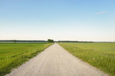 Gün batımında orman ve tarla boyunca boş bir kırsal yol. Yağmurdan sonra parlayan gökyüzü. Turizm, yol gezisi, özgürlük, tatiller, lojistik, uzak yerler kavramları