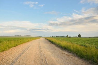 Gün batımında orman ve tarla boyunca boş bir kırsal yol. Yağmurdan sonra parlayan gökyüzü. Turizm, yol gezisi, özgürlük, tatiller, lojistik, uzak yerler kavramları
