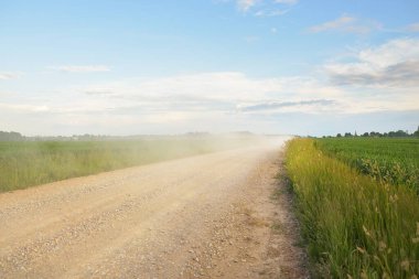 Gün batımında orman ve tarla boyunca boş bir kırsal yol. Yağmurdan sonra parlayan gökyüzü. Turizm, yol gezisi, özgürlük, tatiller, lojistik, uzak yerler kavramları