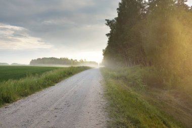 Gün batımında orman ve tarla boyunca boş bir kırsal yol. Yağmurdan sonra parlayan gökyüzü. Turizm, yol gezisi, özgürlük, tatiller, lojistik, uzak yerler kavramları