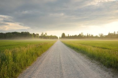 Yeşil tarlalarda, köylerde ve ormanlarda araba sürmek. Idyllic yaz kırsal manzarası. Saf doğa, çevre, çiftlik, eko-turizm, uzak yerler. Ülke yolundan panoramik görünüm