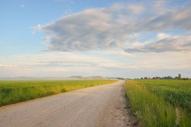 Yeşil tarlalarda, köylerde ve ormanlarda araba sürmek. Idyllic yaz kırsal manzarası. Saf doğa, çevre, çiftlik, eko-turizm, uzak yerler. Ülke yolundan panoramik görünüm