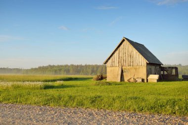 Eski bir depo. Yeşil tarla ve orman. Panoramik manzara. Idyllic yaz kırsal manzarası. Geleneksel mimari, tarım, tarım ve gıda endüstrisi, kırsal yaşam