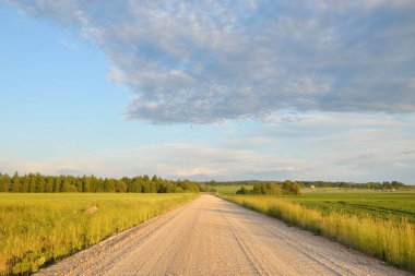 Yeşil tarlalarda, köylerde ve ormanlarda araba sürmek. Idyllic yaz kırsal manzarası. Saf doğa, çevre, çiftlik, eko-turizm, uzak yerler. Ülke yolundan panoramik görünüm