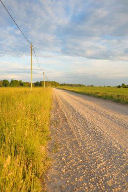 Yeşil tarlalarda, köylerde ve ormanlarda araba sürmek. Idyllic yaz kırsal manzarası. Saf doğa, çevre, çiftlik, eko-turizm, uzak yerler. Ülke yolundan panoramik görünüm
