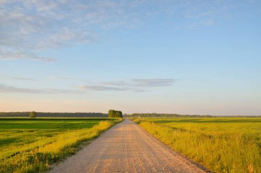 Yeşil tarlalarda, köylerde ve ormanlarda araba sürmek. Idyllic yaz kırsal manzarası. Saf doğa, çevre, çiftlik, eko-turizm, uzak yerler. Ülke yolundan panoramik görünüm