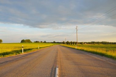 Gün batımında tarla ve orman boyunca (yeni asfalt yol) boş bir otoyoldur. Yağmurdan sonra dramatik bir şekilde parlayan bulutlar. Turizm, yol gezisi, özgürlük, tatiller, lojistik, uzak yerler kavramları
