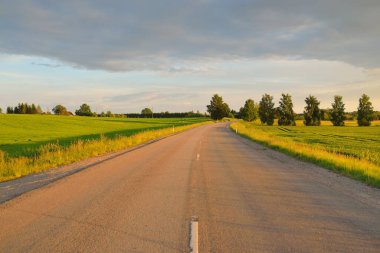 Gün batımında tarla ve orman boyunca (yeni asfalt yol) boş bir otoyoldur. Yağmurdan sonra dramatik bir şekilde parlayan bulutlar. Turizm, yol gezisi, özgürlük, tatiller, lojistik, uzak yerler kavramları