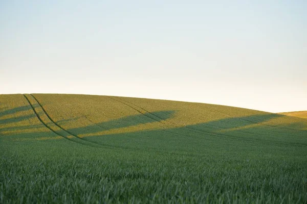 Vista Panorâmica Campo Agrícola Arado Verde Pôr Sol Cena Rural — Fotografia de Stock