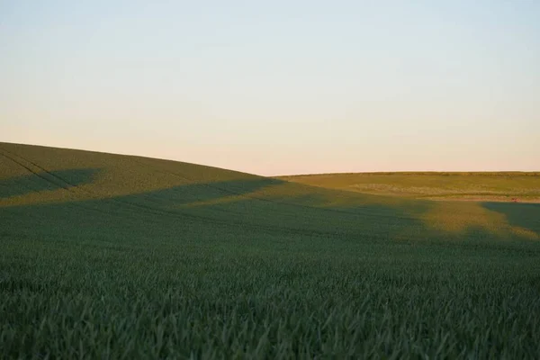 Panoramiczny Widok Zielone Pole Uprawne Zachodzie Słońca Idylliczna Letnia Scena — Zdjęcie stockowe