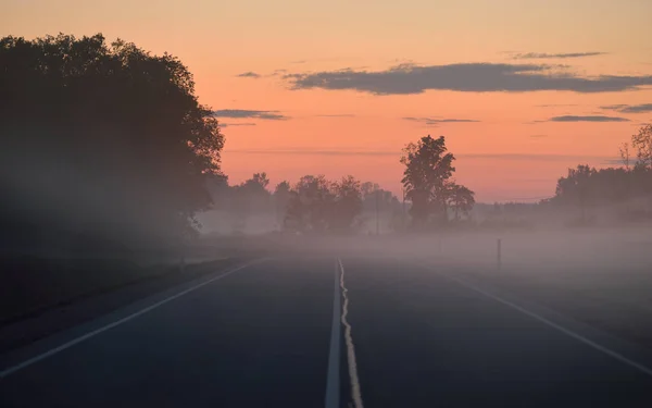 Une Autoroute Vide Nouvelle Route Asphaltée Travers Les Champs Forêt — Photo