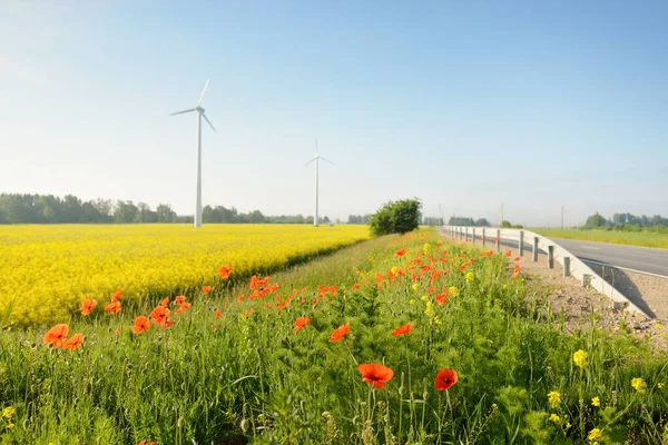 Highway through the blooming rapeseed field and forest at sunrise. Wind turbine generators (farm). Transportation, ecotourism, ecology, renewable energy, technology, infrastructure, power in nature