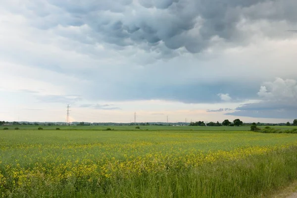 Linha Energia Elétrica Campo Agrícola Arado Verde Céu Pôr Sol — Fotografia de Stock