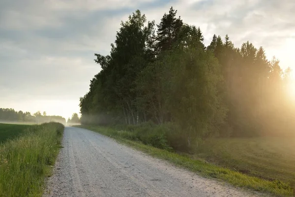 Una Strada Rurale Vuota Attraverso Campo Foresta Tramonto Cielo Splendente — Foto Stock