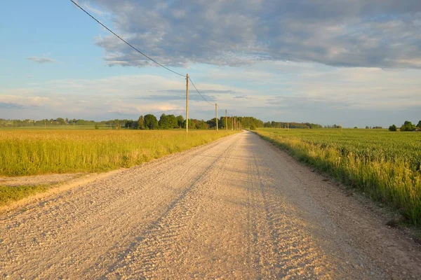 Yeşil tarlalarda, köylerde ve ormanlarda araba sürmek. Idyllic yaz kırsal manzarası. Saf doğa, çevre, çiftlik, eko-turizm, uzak yerler. Ülke yolundan panoramik görünüm