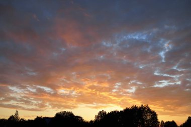 Gün batımında ormanın üzerinde parlak pembe ve altın bulutlar parlayan açık gökyüzü. Karanlık ağaç siluetleri. Dramatik bulut manzarası. Sanat, meteoroloji, cennet, umut, barış, resim manzarası