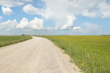Güneşli bir günde yeşil tarlalarda ve ormanlarda araba sürmek. Açık mavi gökyüzü. Idyllic kırsal alanı, konsept manzarası. Doğa, uzak yerler, lojistik, yaz tatili, yol gezisi