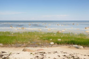 Güneşli bir yaz gününde Baltık kıyılarından panoramik manzara. Kayalar yakın plan. Doğa, çevre koruma, tatiller, yürüyüş, keşif kavramları