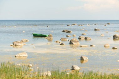 Güneşli bir yaz gününde Baltık kıyılarından panoramik manzara. Kayalar yakın plan. Doğa, çevre koruma, tatiller, yürüyüş, keşif kavramları